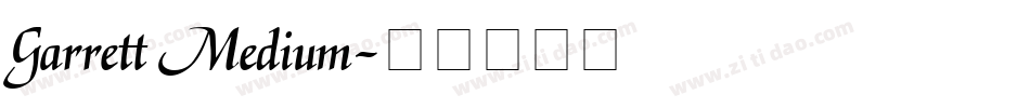 Garrett Medium字体转换